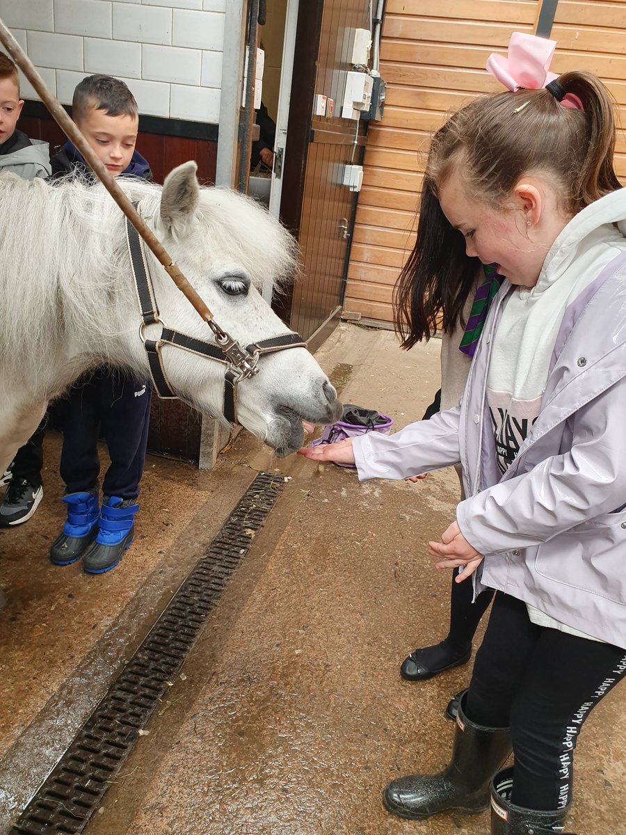 St_FrancisP23's tweet photo. Feeding the ponies 🐴 https://t.co/thdYt62Els
