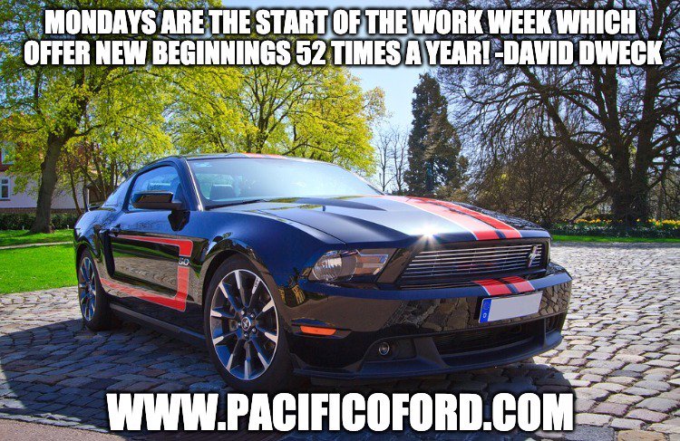 Pacifico_Ford's tweet photo. New week, new beginning! Dare to be bold: dare to do something different #mondaymotivation https://t.co/CQgjziWu1C