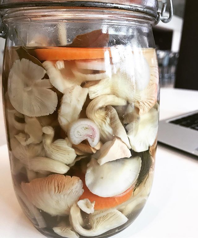 Sustainability is at the core of what we do and today our guests at the Francis Crick Institute were lucky enough to sample the first of our home grown mushrooms pickled on our salad bar! .
#meatfreemonday #saladbar #homegrown #sustainable #vegan #vegeta… bit.ly/2QGXDlD