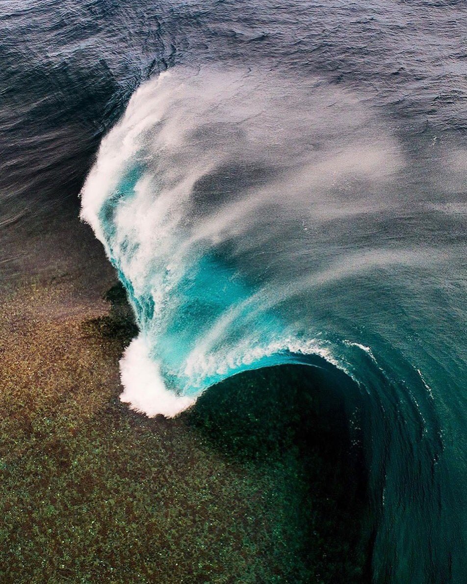 The Surf Channel tweet media