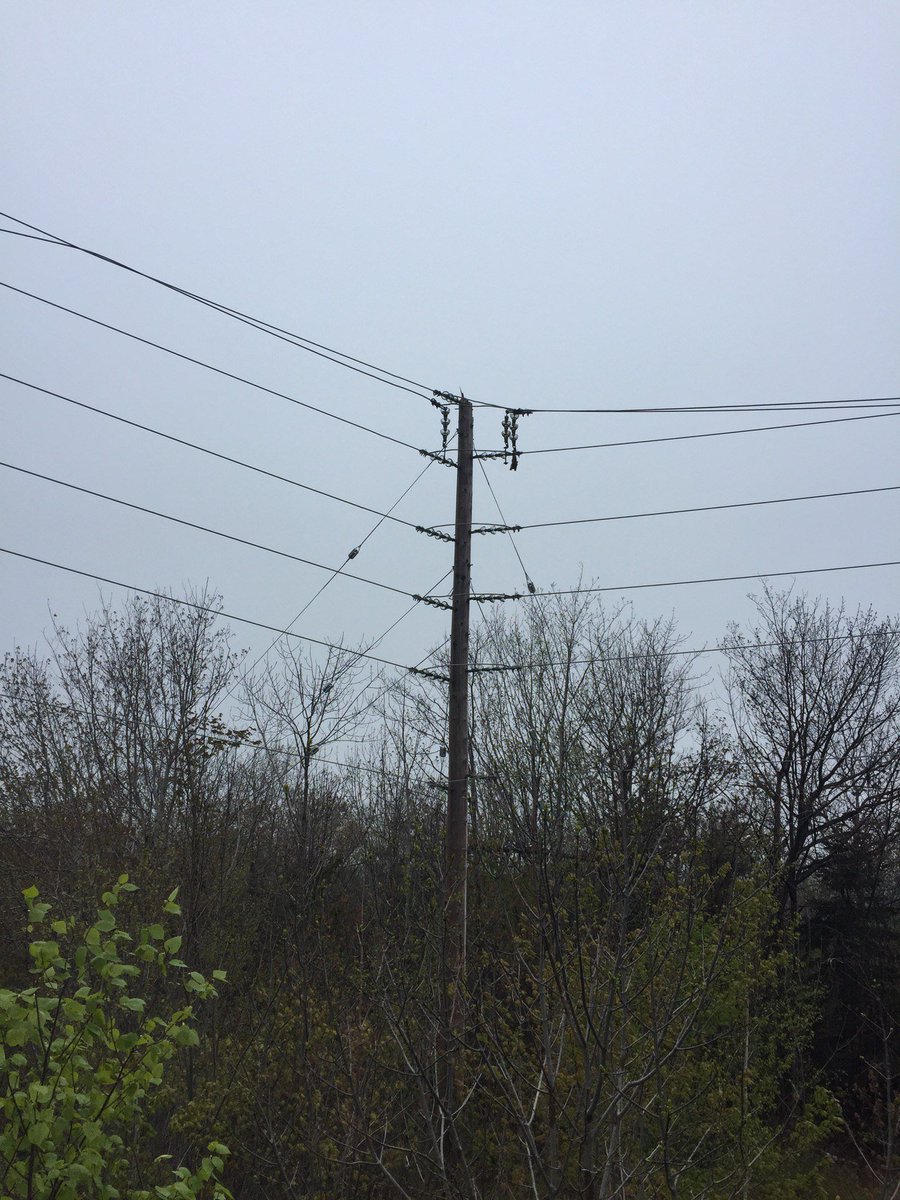 nspowerinc's tweet photo. Our crew shared these photos of the damage that caused today’s outage in the Bedford/Lower Sackville area. The top of this pole on Magazine Hill was hit by a lightning strike. We’re working to reroute power for customers while repairs are being made. https://t.co/lW99xMXkFB