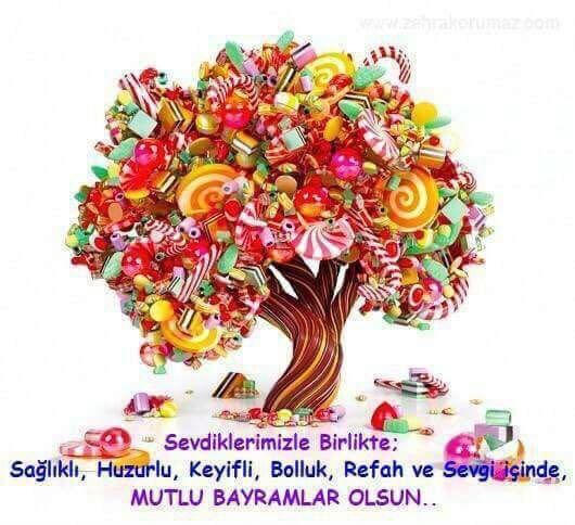 TEMAD  TRABZON tweet media