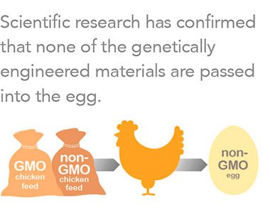agbiotech's tweet photo. You may see eggs marketed as non-GMO. If you choose to buy these, the yolks on you, though, since there are no GMO eggs in the first place. Learn more about what is a GMO and what isn't a GMO @GMOAnswers #NationalEggDay https://t.co/OoGl6qBXg2 https://t.co/WcIXNu7nmB
