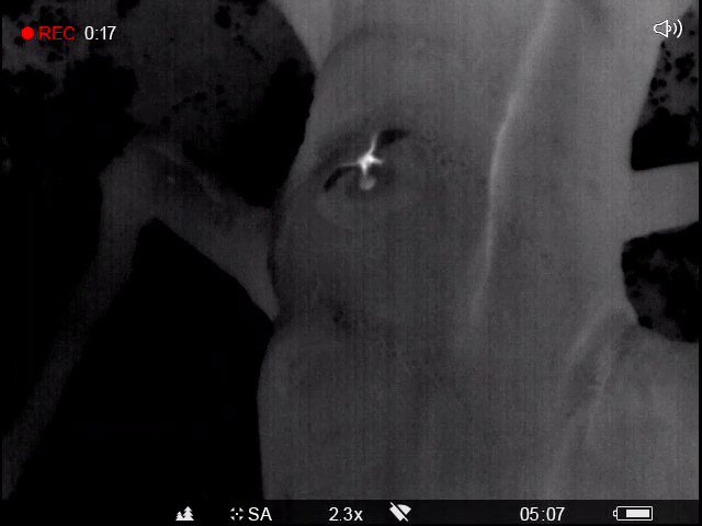 Carola vd Tempel tweet media