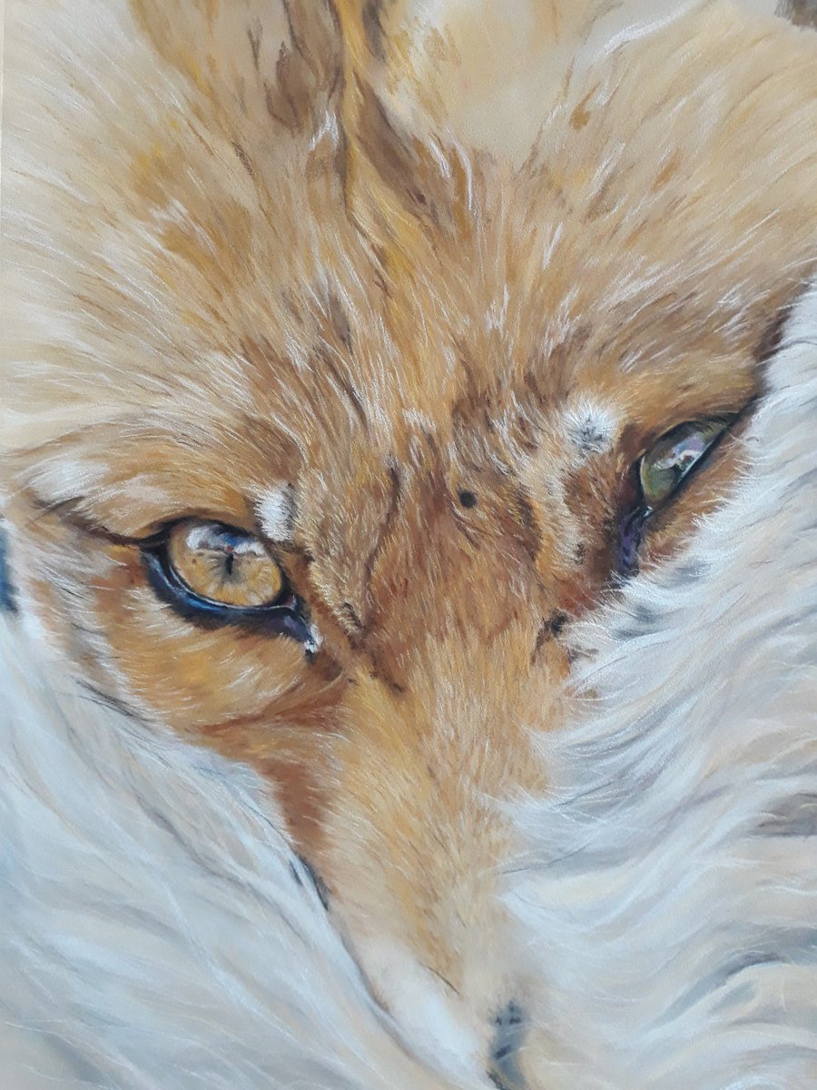 riamarialew15's tweet photo. Many hours, many layers but its worth it, just loving this little soul. Pastels on pastelmat, ref photo by Menno Schaefer.
#art #pastel #pastelmat #Carbothellos #panpastels #fox #wildlife #wildlifeart https://t.co/ugry166zQ5