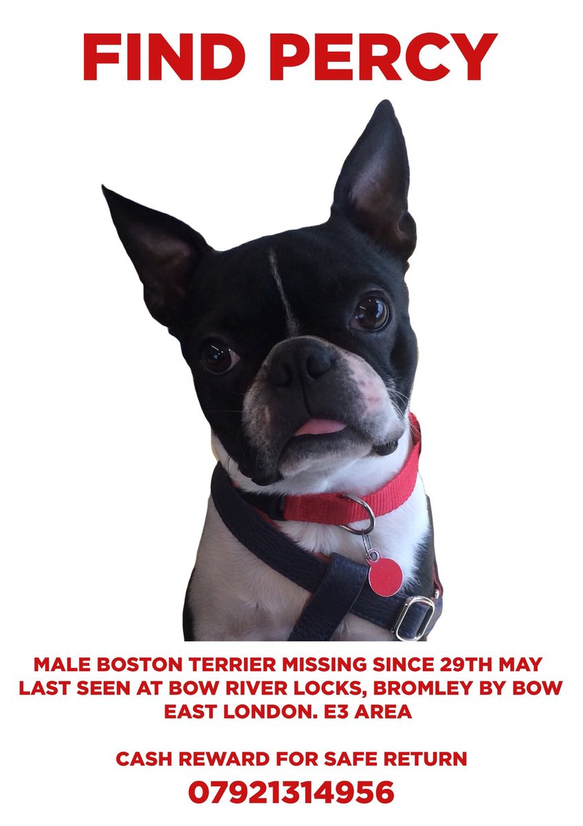 LeanneLeveaux's tweet photo. The response to help us #FindPercy has been overwhelming, so many incredible people on here - we canโt thank you all enough.
Weโre still doing everything we can to get his face out there and trace who has him, please continue to share this little boys face and letโs get him home https://t.co/L8D3jjcmjd