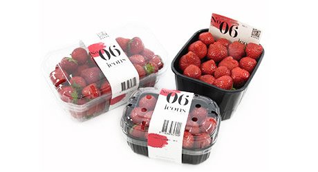 "Greenhouse strawberry growers will have to think about the future" <a href="/FruitWorld_BFG/">FruitWorld Breda</a>
hortidaily.com/article/911024…