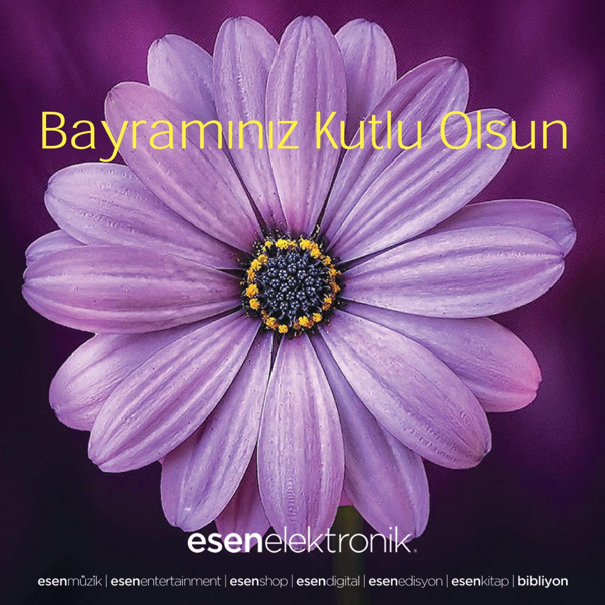 esenkitap's tweet photo. Sevdiklerinizle birlikte, sağlıklı, huzurlu, mutluluklarla dolu nice bayramlar dileriz... #iyibayramlar #bayramınızkutluolsun https://t.co/322qoINlza
