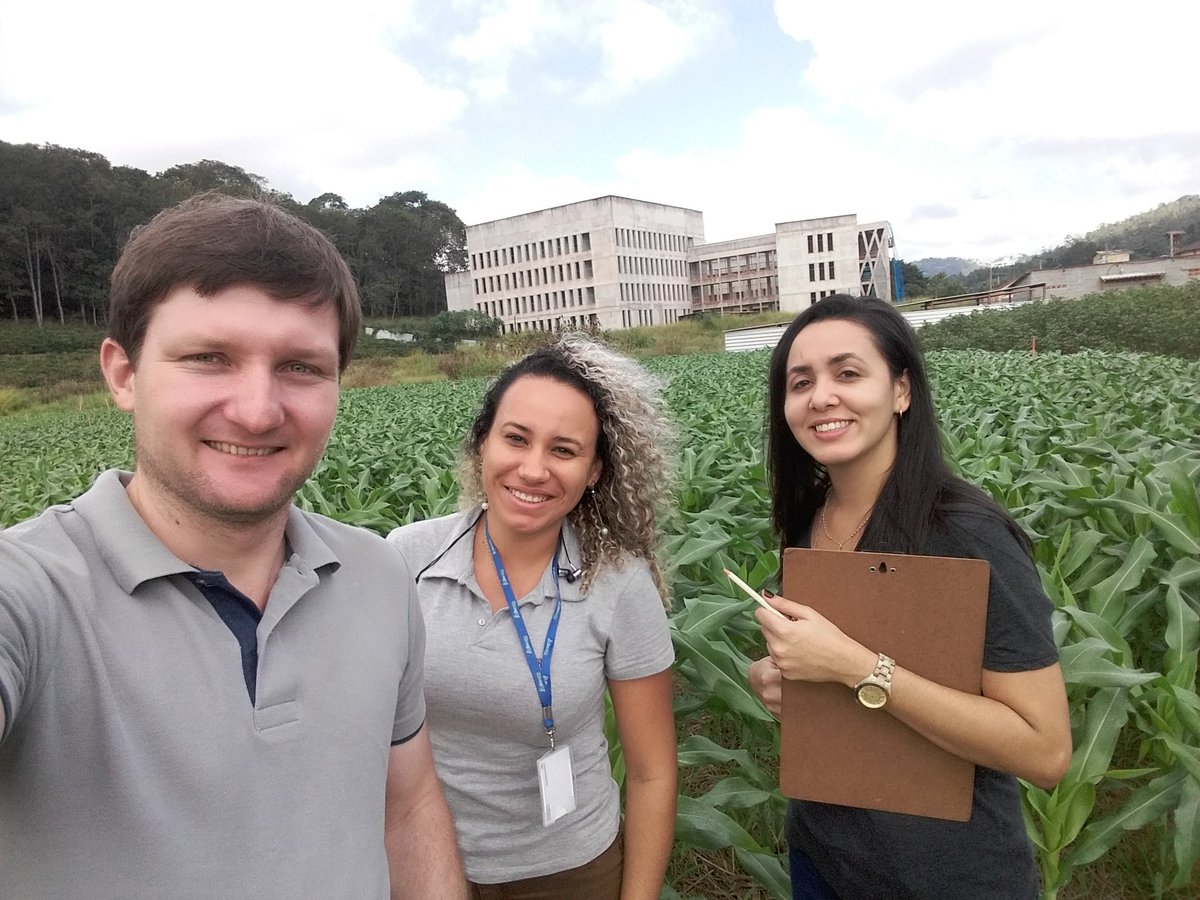 Preparing the field class to undergraduate students of <a href="/ufvplantpath/">UFVPlantPathology</a>. Tomorrow @MarciaQ55341033, Marcela and I will talk about leaf spots and rust.
