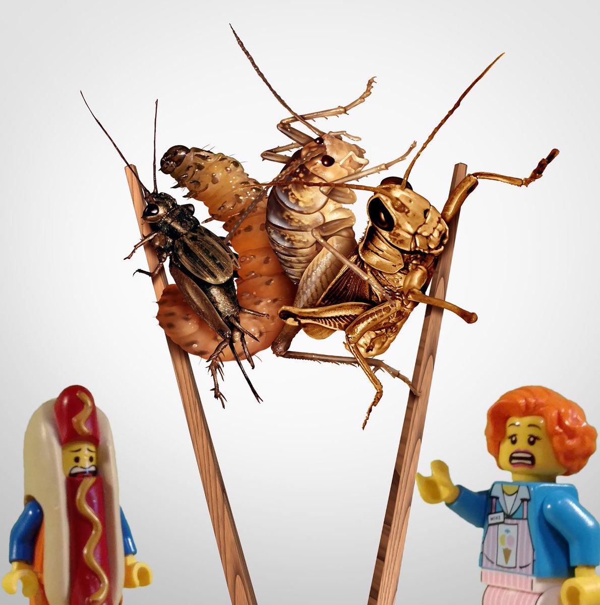 Our friends at the University of Exeter are supporting Cornish businesses develop insect systems to recycle waste materials from agriculture, food and drink, into new feedstocks and fertilisers

Visit stand 388 at the #RoyalCornwallShow on Thursday afternoon to find out more