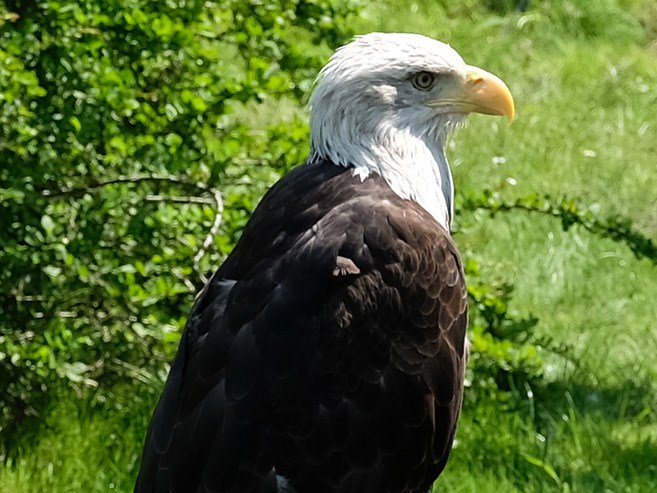 lta_ag's tweet photo. nur er sieht noch besser als unsere Kamera am Helikite 😉 https://t.co/nsYpIVQ9AZ