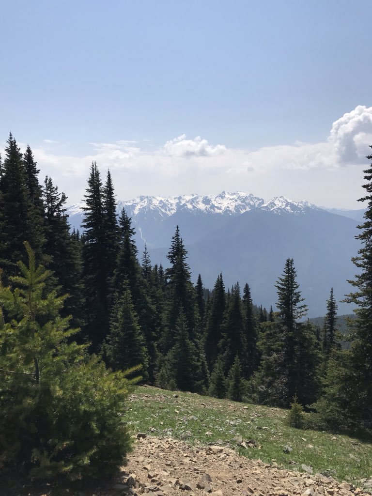 OrigamiGoblin's tweet photo. Had an amazing time exploring Washington and Oregon this past week! #hiking #IRLAdventures https://t.co/A84y93zULz