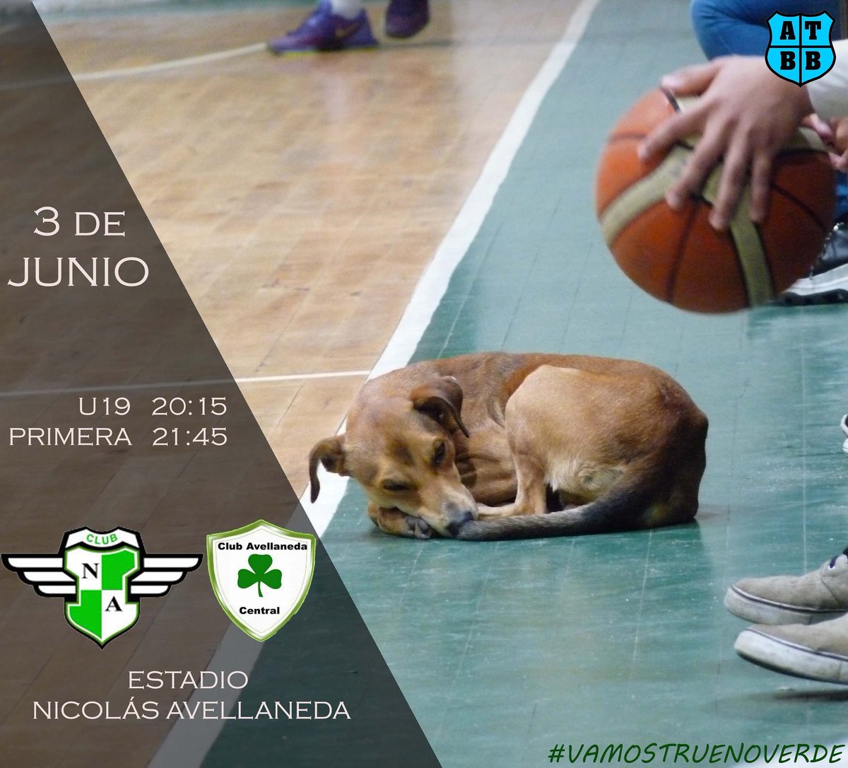 NAvellanedaTuc's tweet photo. #ATBB 
Se juega la fecha 11 del Torneo Apertura Albertl Nuñez y recibimos en Barrio Ciudadela a @clubavellanedac
Te esperamos para alentar a Nicolás 

#VamosTruenoVerde💪💚 https://t.co/O7cGr7WTrL