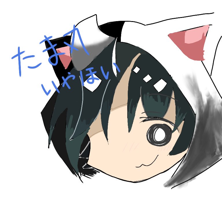 たま丸 たま丸