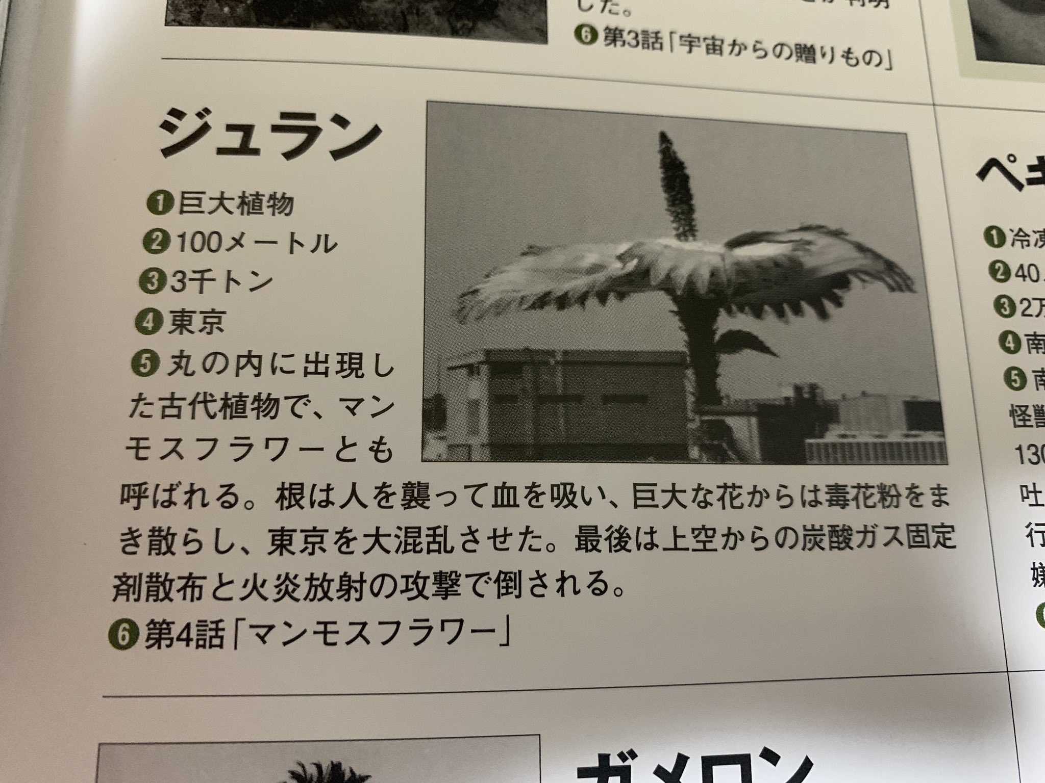 Twitter 上的 じょう ウルトラq より ジュラン 別名 マンモスフラワー 一目してマンモスではなく花である T Co J0hrbj4plp Twitter