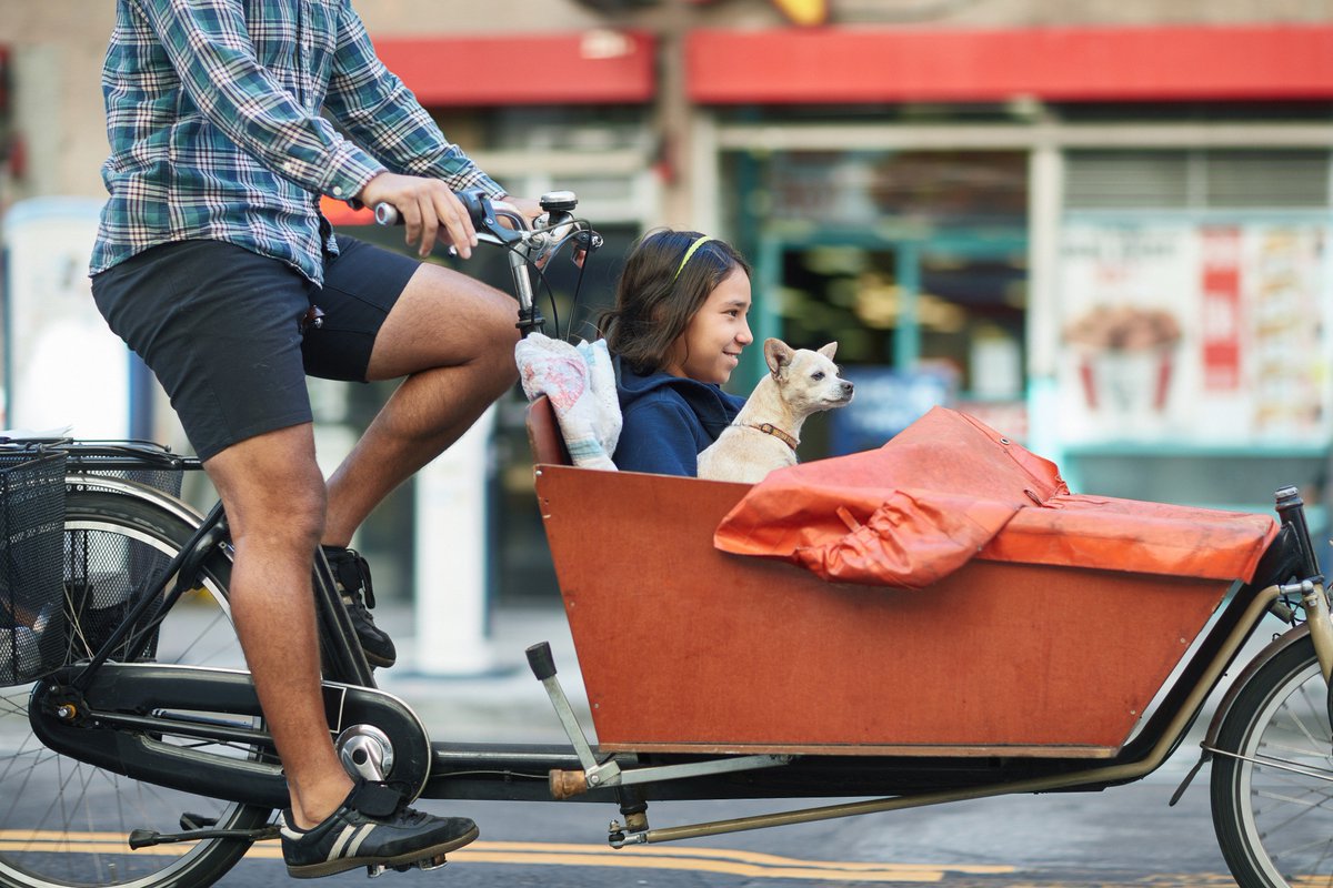 denmarkdotdk's tweet photo. Today is #WorldBicycleDay, and since the Danes are said to be born on a bike, this day is just in their spirit.

Did you know that 9 out of 10 Danes own a bicycle? 🚲 https://t.co/OtkGm1bi5M