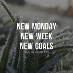 A little #mondaymotivation to get your blood pumping. What are your goals this week?
.
.
.
.
.
#mondaygoals #newweek #newstart #makeitgreat #libertylife