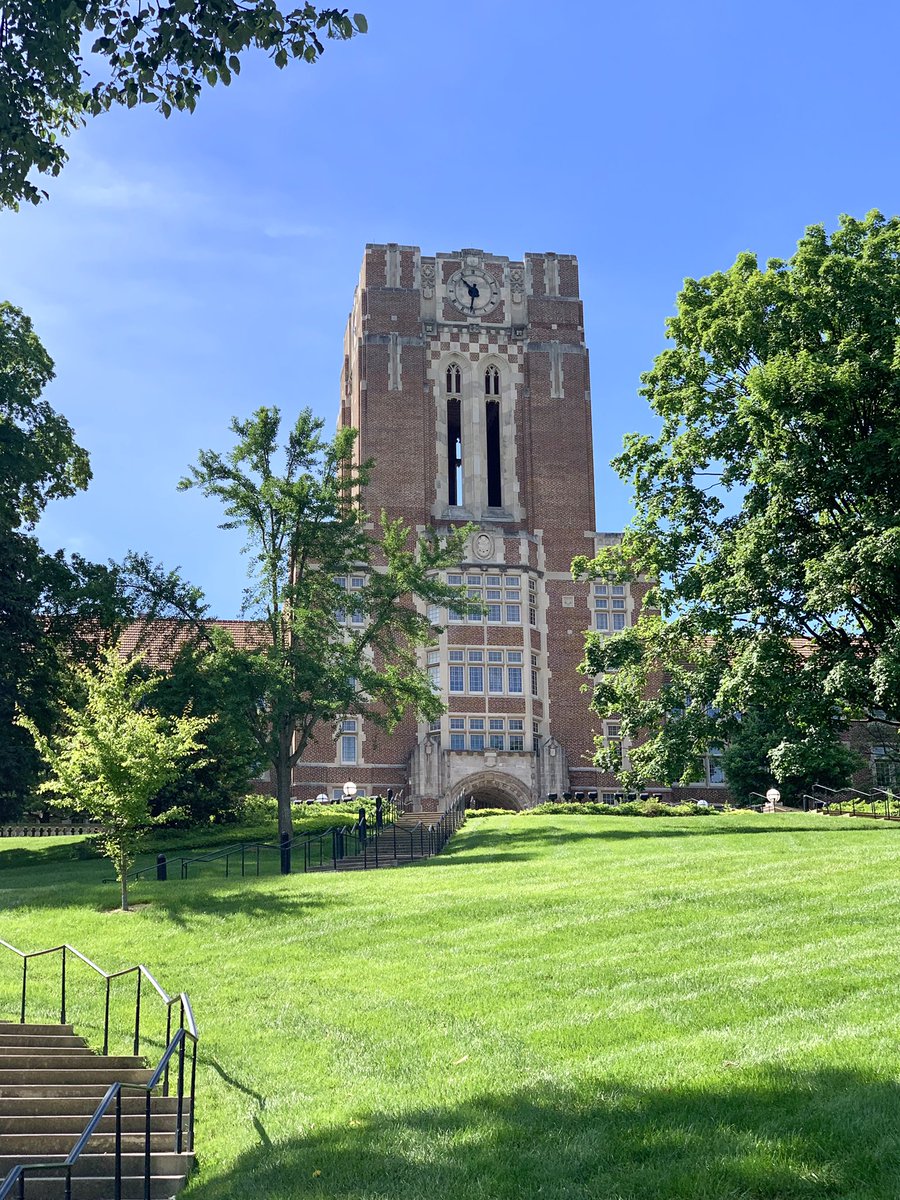UTKnoxville's tweet photo. If it’s got to be Monday, at least it looks like this. 😍🧡 #beautiVOL https://t.co/ih68Cz6A1U