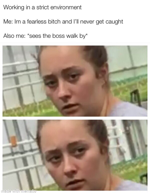 Emily Weistra tweet media