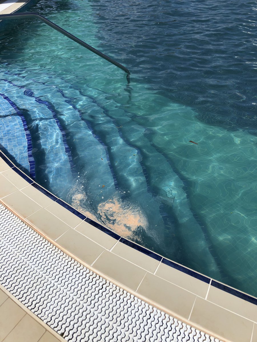 Absolutely disgusting pool in Cuba, hotel aren’t bothered, rep isn’t bothered..<a href="/ThomasCookUK/">Thomas Cook</a> are you??? Paid a lot of money to be here and can’t even use the pool....5th time in 2 weeks