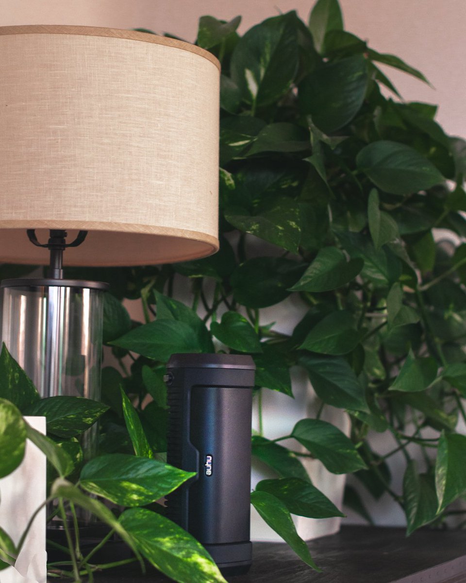 NYNEAudio's tweet photo. Bed table essentials. 🍃 🎵 

https://t.co/qE21TvRROr https://t.co/UZ1GPXErI4