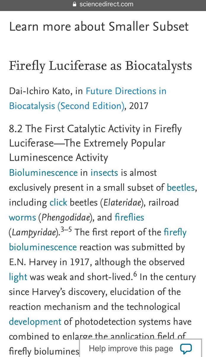 This article talks about a smaller Subset of bioluminescent beetles, but it focused on fireflies. See the word next to Firefly? Lucifer is in there.