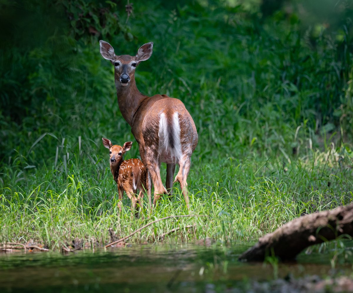 Looking back at an awesome spring season and ready for what’s to come this fall. #ExceedYourExpectations