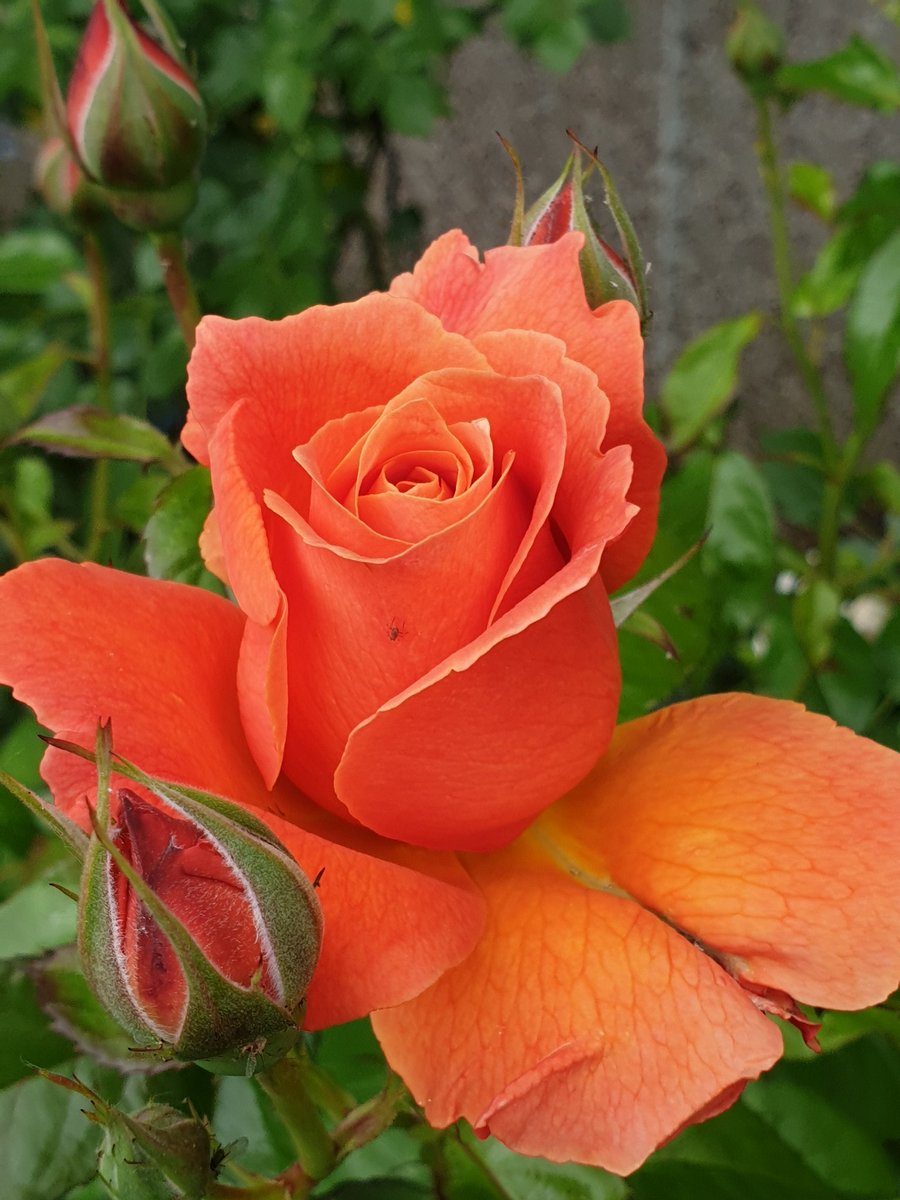 EdwardJamesPhotography tweet media