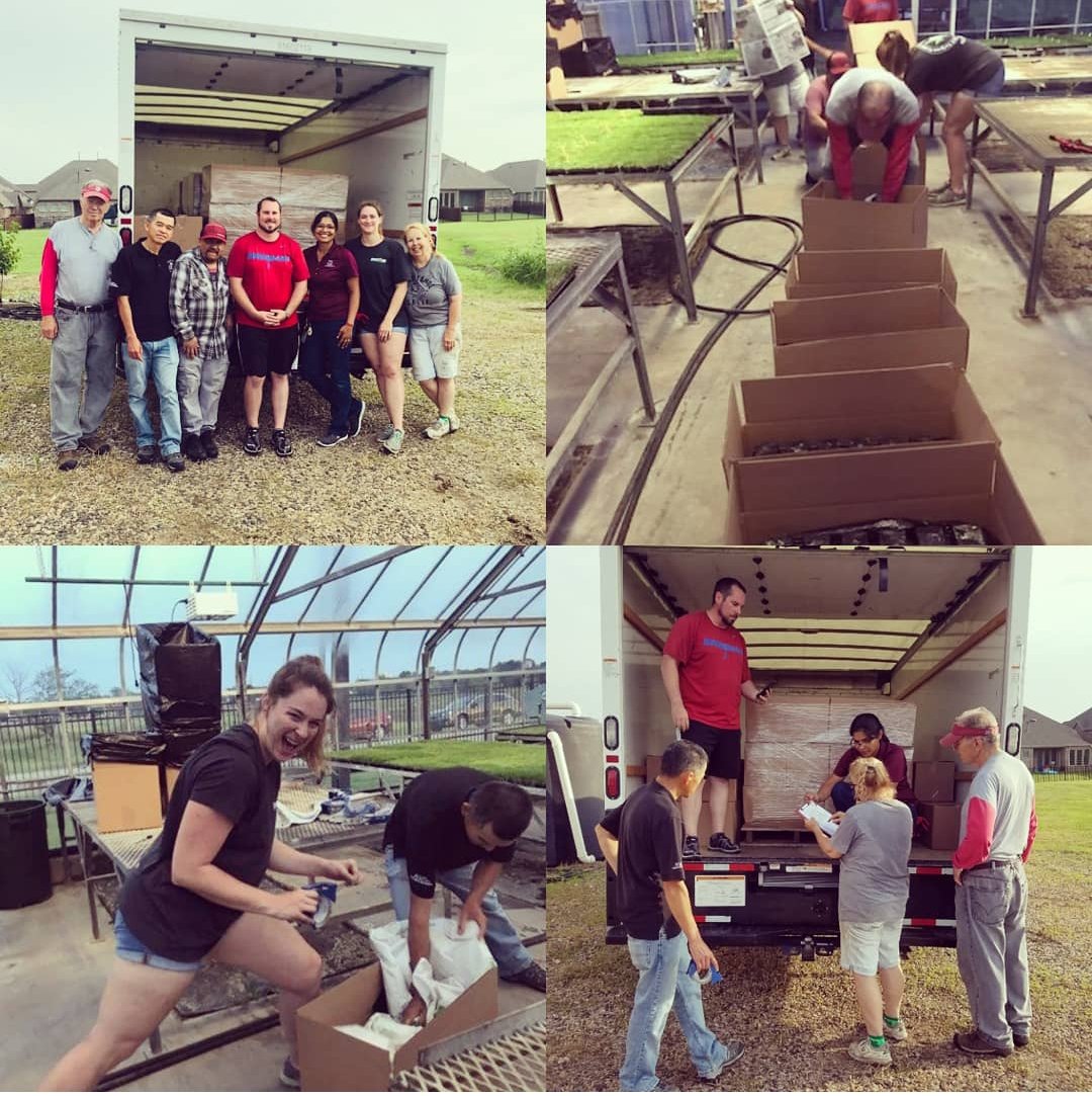 hairyligule21's tweet image. NTEP 2019 is on its way to Maryland. While I didn't grow any of the grass... I sure had fun packing it and watching the sun came up! #aggieturf #dallasagrilife #turfgrass #turfgrassresearch #ntep