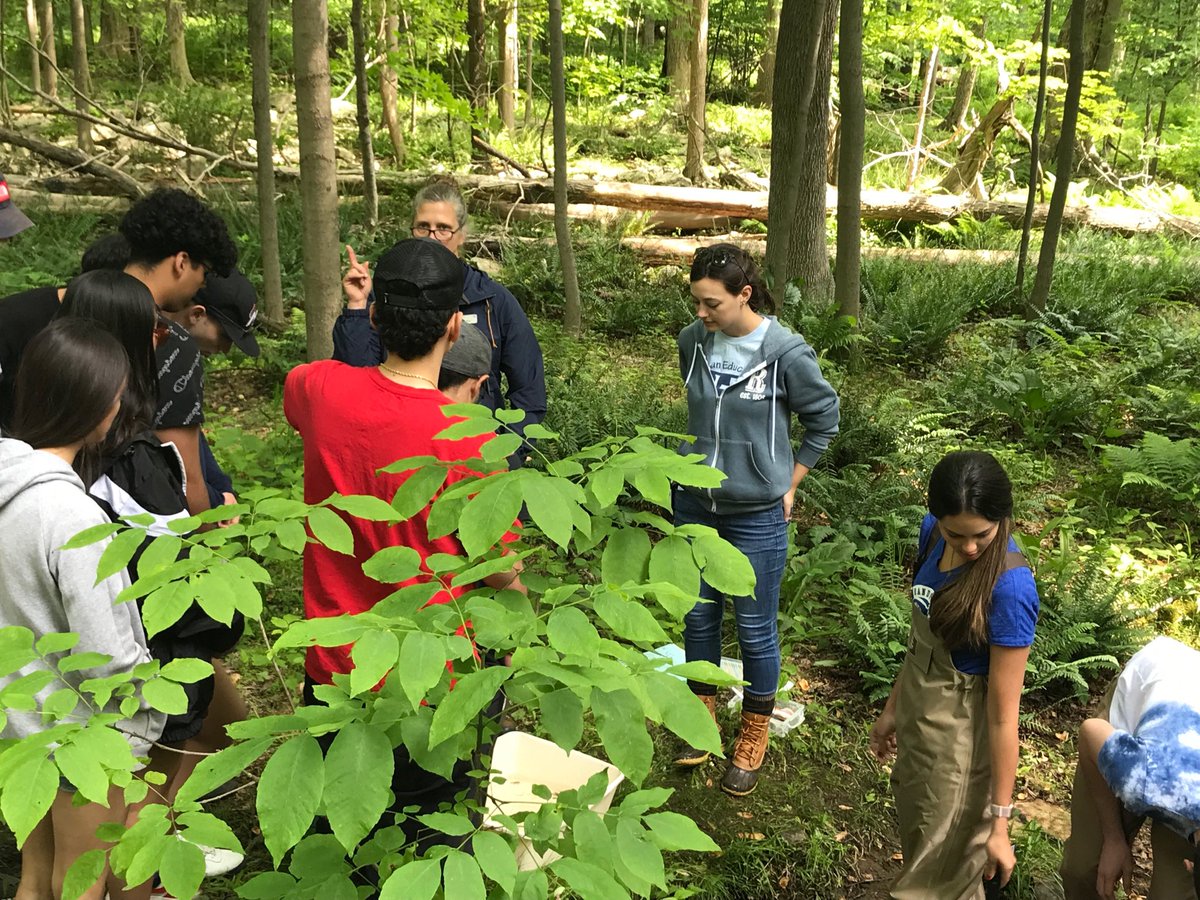Ms VanValen and ESL students  monitoring the streams of Randolph #randolphschools ⁦<a href="/MsVanValen/">Kathleen Van Valen</a>⁩ ⁦@Mrs_SGonzalez⁩ ⁦@PaulaPC22⁩