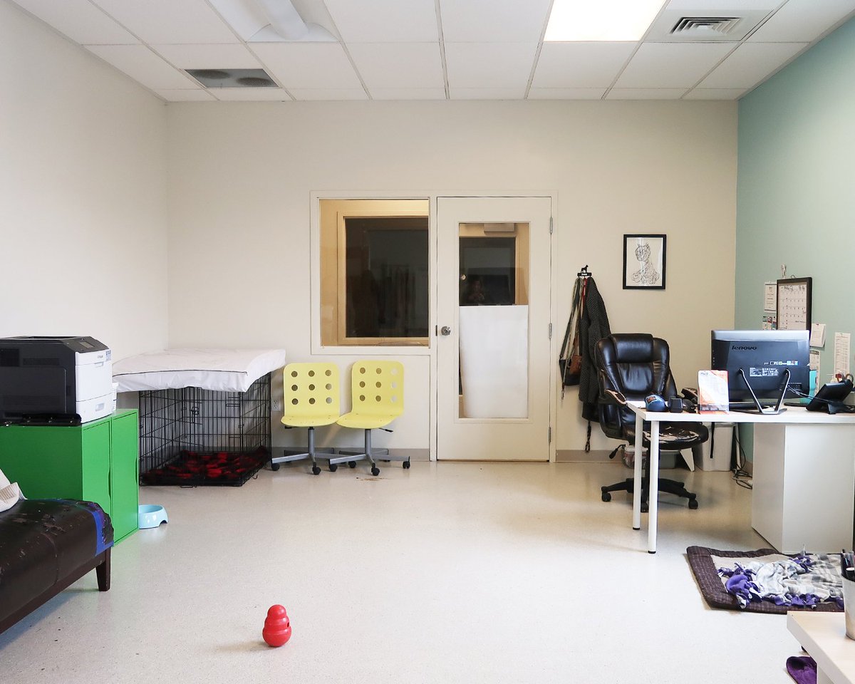 SherwinWilliams's tweet photo. Paint + pups = #SWPaintingWeek success.🐾 It's easy to see why our 2-legged and 4-legged friends love the @utahhumane room makeover from Sarah of @roomfortuesday. https://t.co/gf9BcosXzF
🎨: North Star SW 6246 
#sherwinwilliams #utah #humanesociety #dogs #community #volunteer https://t.co/QVctkZAY4p