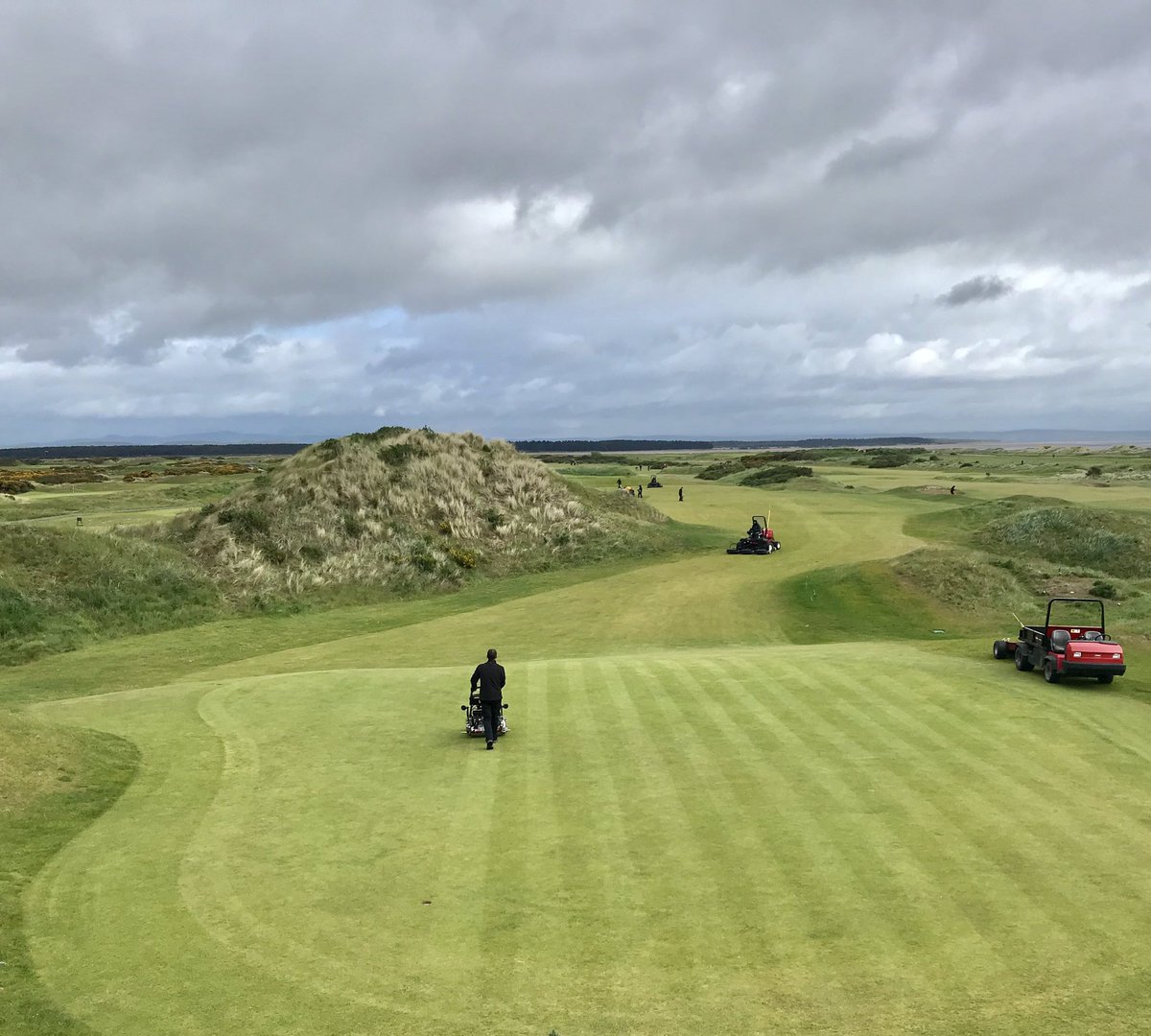 GavNeill's tweet image. Taking advantage of a dry surface this morning due too strong south westerlies 💨💨! With a light verti-cut followed by a pedestrian brush cut on the Jubilee @TheHomeofGolf @TheToroCompany #surfacerefinement