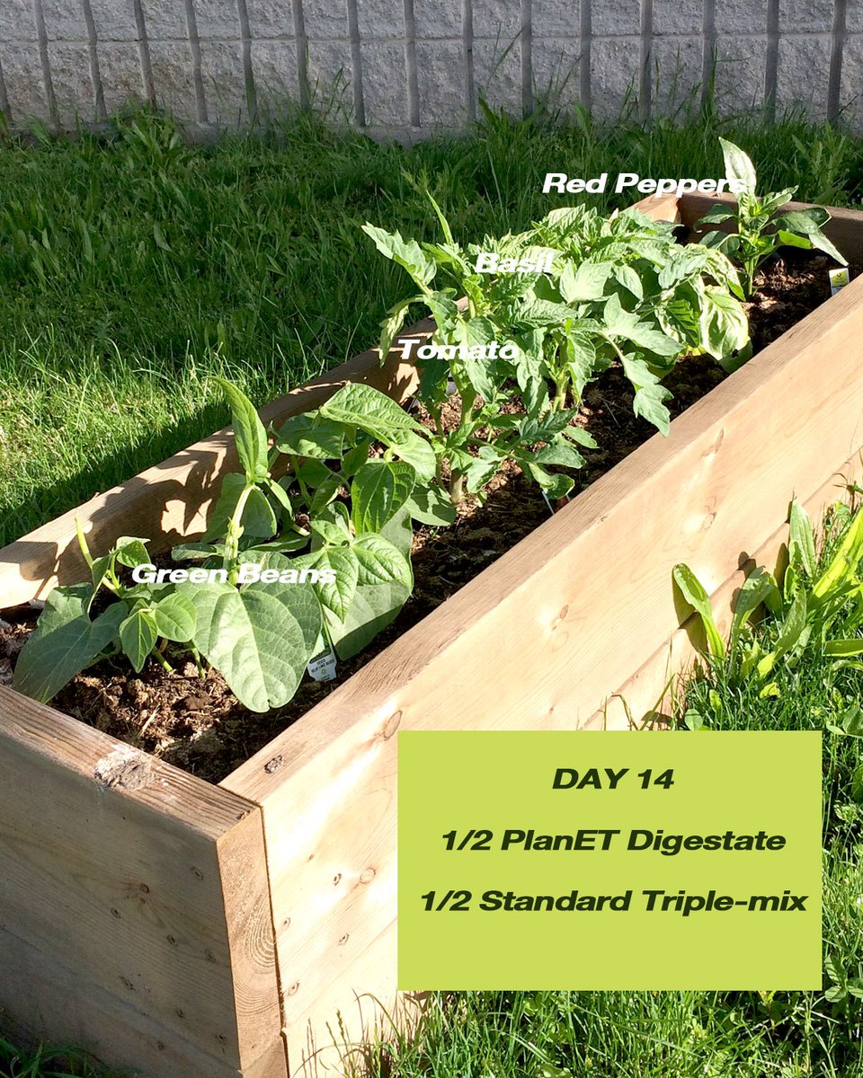 PlanET Biogas tweet media
