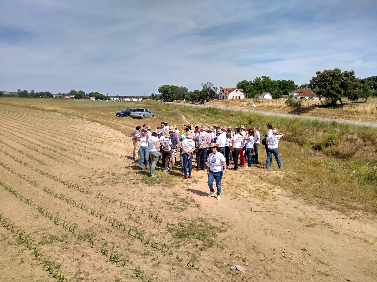 But wait wait wait... Our last few weeks were not only #ECCA2019 ! We also had our own Final Project meeting from 23-25 May, in sunny #Lisbon🇵🇹 🌞 How did it go? Oh, now that you need to check out here 👉 projectbingo.eu/content/blog/f…

<a href="/EU_BINGO/">Project BINGO</a> = more than the sum of its parts