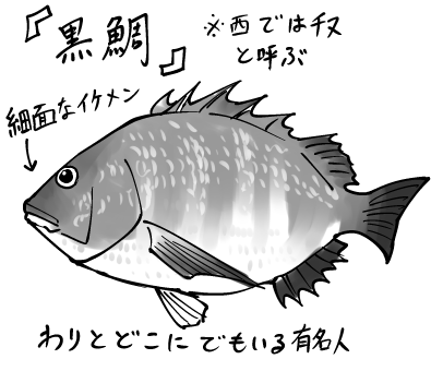 仲間に見せようと差し出したら、背ビレが相手の手に刺さってしまった。
#魚紹介習慣 #銛ガール 