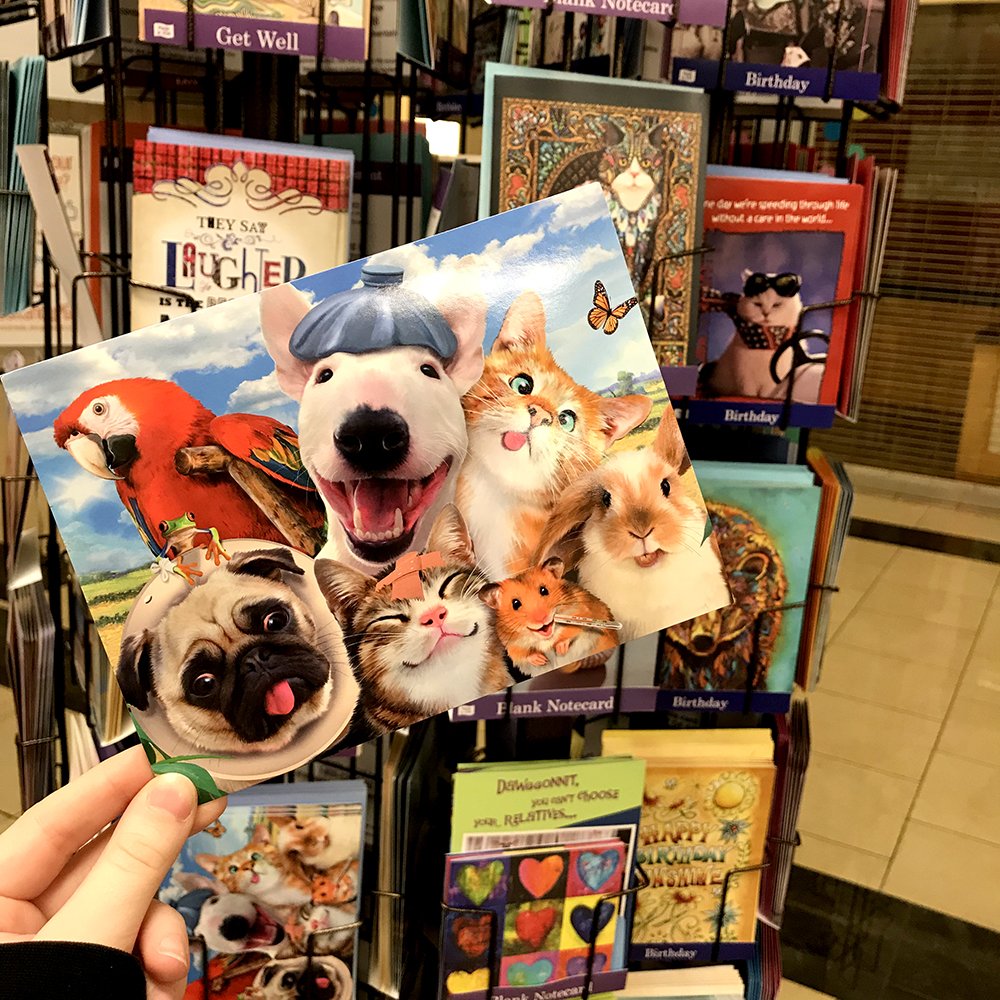 KatiesKandy's tweet photo. We have greeting cards for every occasion! https://t.co/K8ZcXfspQU