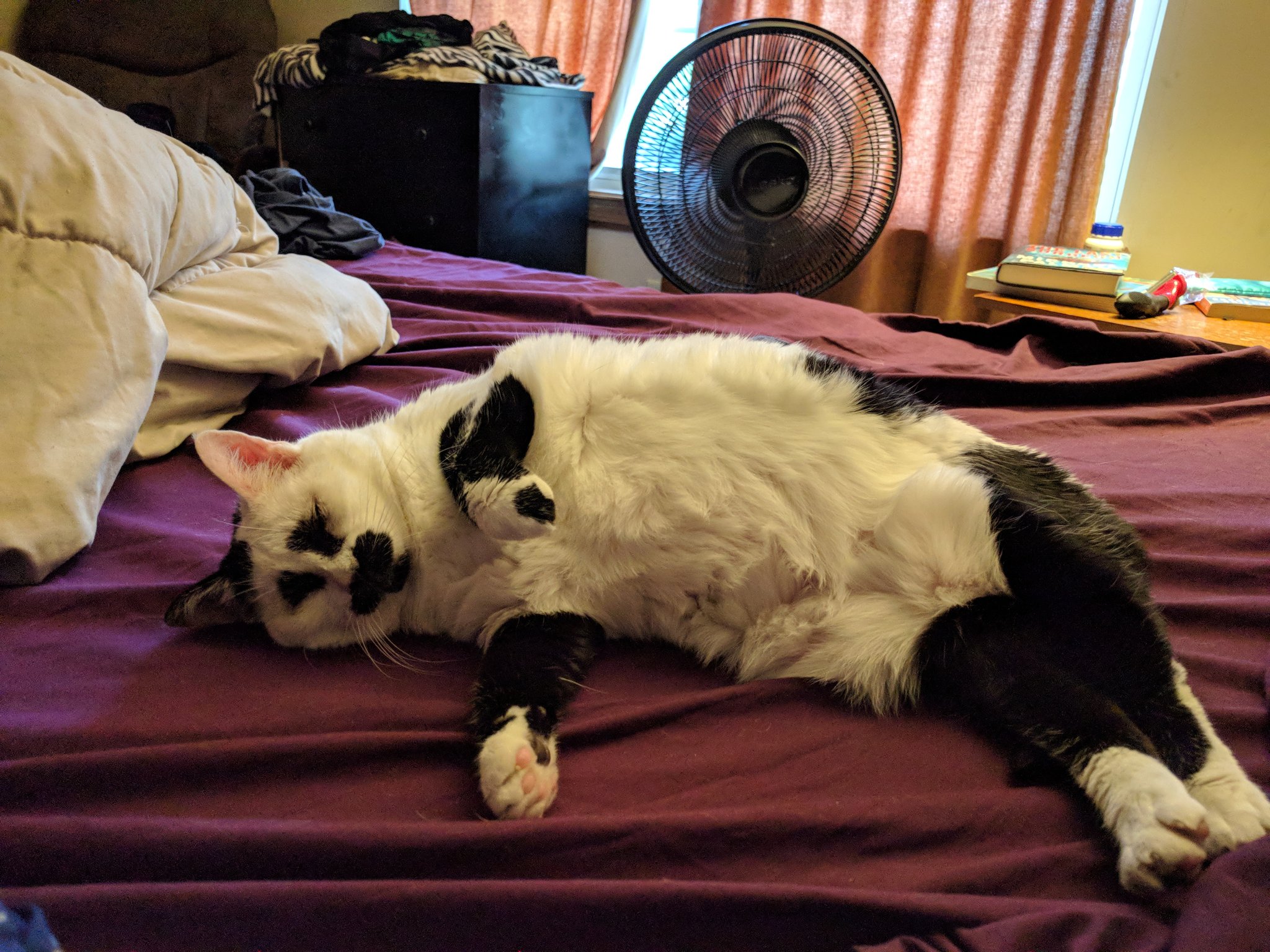 Happy Monkey Monday and wishing a very happy birthday to ! 