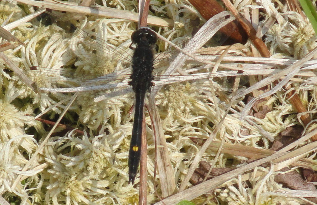 Birch Hill Retirement Community Twitter