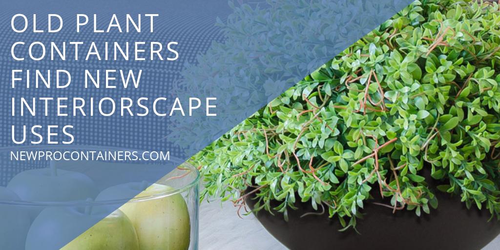 NewPro's tweet photo. Check out these cool ways to reuse old plant containers! Read more >>> https://t.co/0S0TZh3Ypw

#plantcontainers #planters #reuse #recycle #repurpose #interiorscape #plants #outdoorplanters #indoorplanters https://t.co/BhEpqW73ca