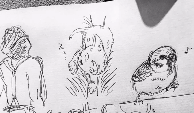 今日のらくがき、右からスズメ、子猫、フレディです(なぜ…?) 