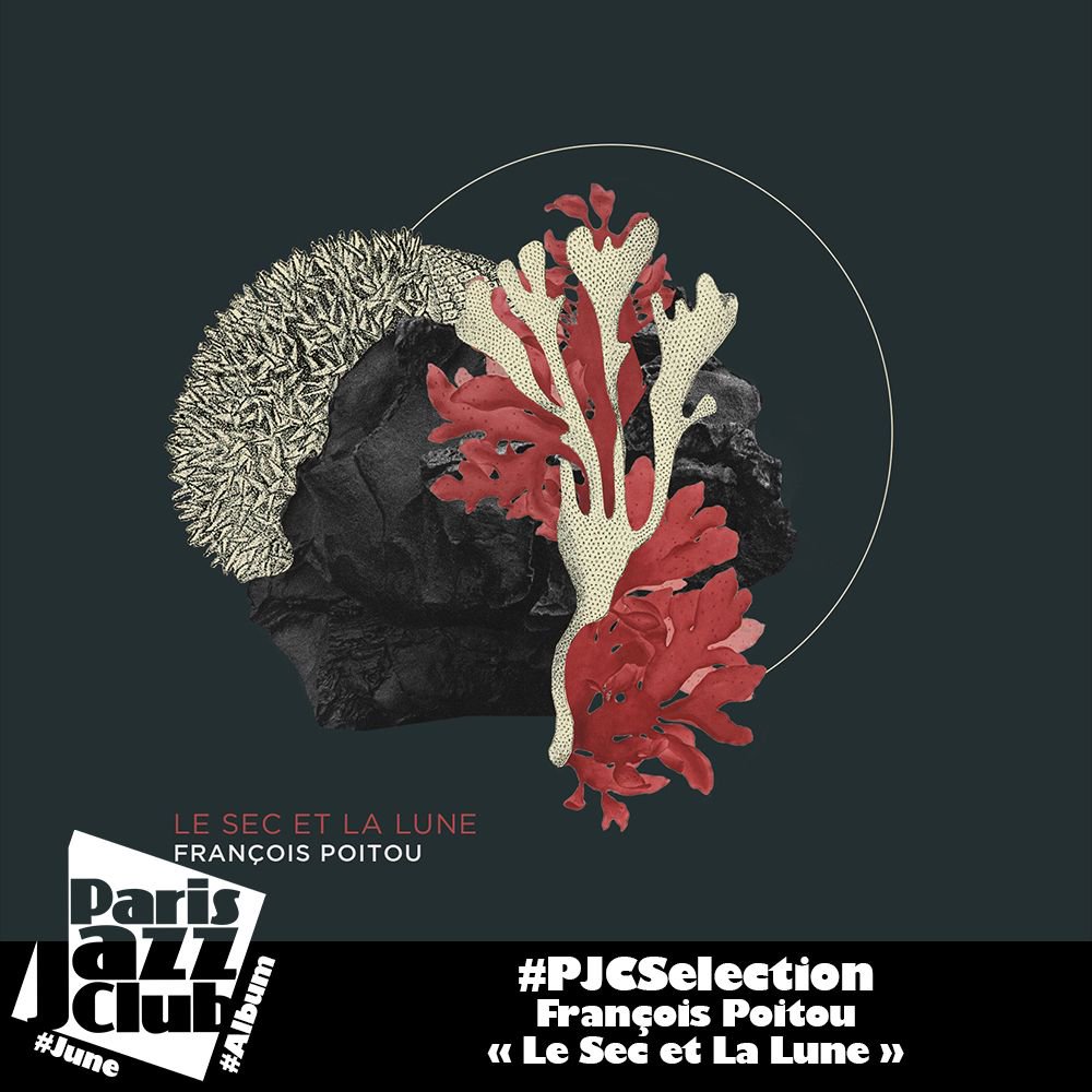 ParisJazzClub's tweet photo. #PJCSelection🎶
Une orchestration originale, entre jazz, @FrancoisPoitou (contrebasse), #MaximeBerton (sax et clar basse), musique classique (violon &amp; alto), folk avec la guitare cinétique de #FredericoCasagrande, et musique de films
📰Toute la chronique : https://t.co/ccKDLcpKa4 https://t.co/rov4CAEpzU