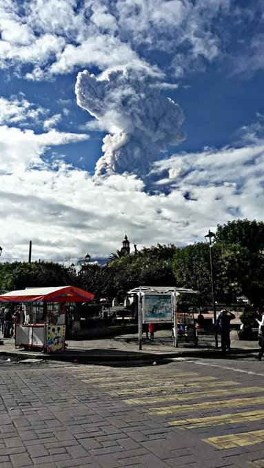 View image on Twitter