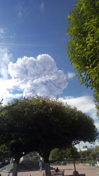 View image on Twitter