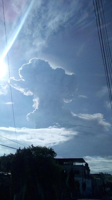 View image on Twitter