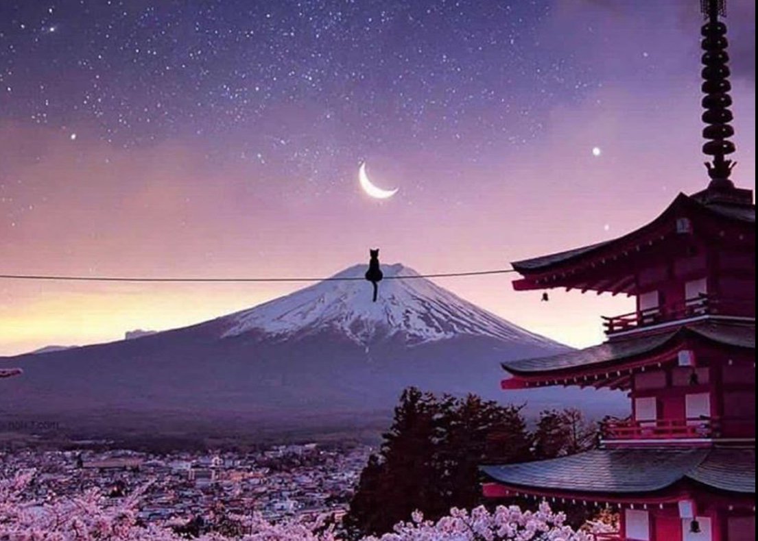 ramblingsloa's tweet photo. Breathe and let be.

Jon Kabat Zin
Pic Nois7 https://t.co/23DBOlYgLH