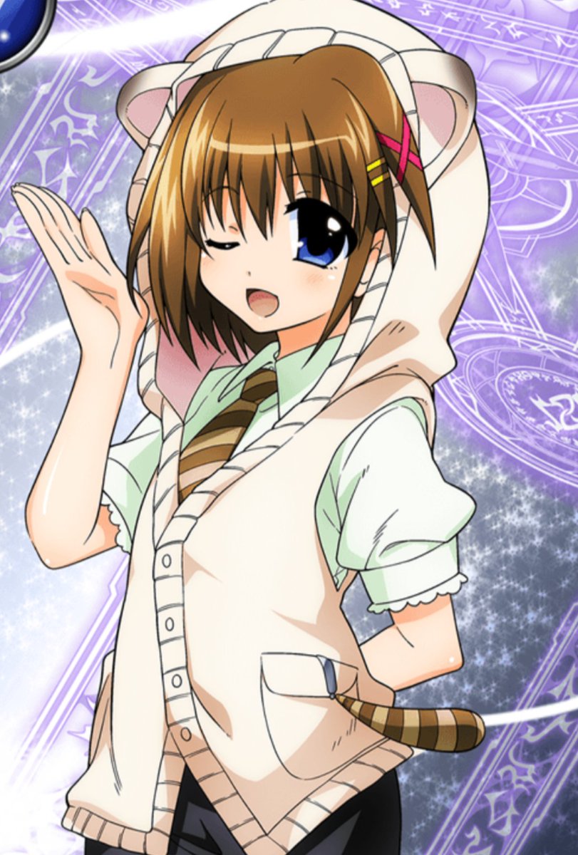 八神はやて 八神はやて