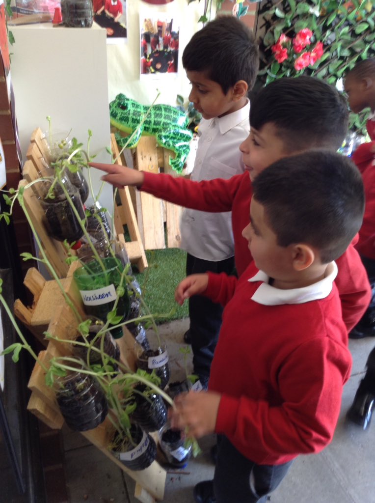 LeighPrimary's tweet image. Nursery were shocked to see what had happened to their plants over the holidays!!🌴😱. We used sticks from forest school to support the sunflowers #growingplants #observingchange #caringforlivingthings