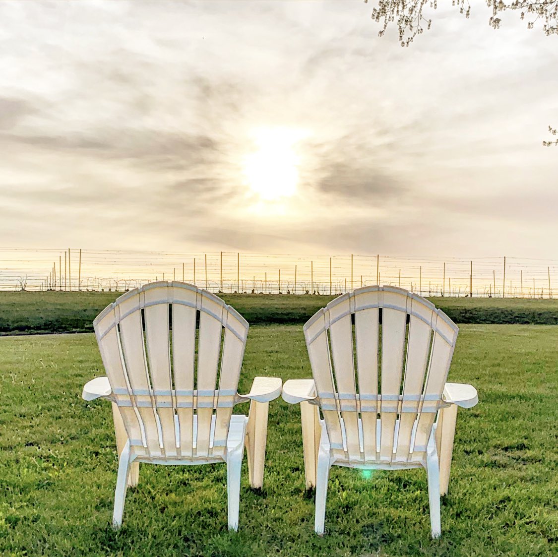 How about this spot for instagram.com/p/ByQHtnTB2az/?! 🍇☀️🍷 #wine #winecountry #travel Pic by <a href="/WineDesTnations/">Wine Destinations</a>. CC: <a href="/damewine/">Cathrine Todd</a> <a href="/winewankers/">The Wine Wankers 🍾🤛🎉🥂</a> <a href="/sparklingwinos/">Sparkling Winos</a> <a href="/JMiquelWine/">Julien Miquel #Wine</a> <a href="/WineriesOfOMP/">Old Mission Peninsula Wine Trail</a> <a href="/BrysEstate/">Brys Estate</a> <a href="/MIWineCollab/">Michigan Wine Collaborative</a> <a href="/TheWiningHour/">Li Valentine</a> <a href="/CaraMiaSG/">Cara Mia🍷💁🏻‍♀️</a> <a href="/winegal57/">winegal🍷💃🏻</a> <a href="/Joaniemetivier/">Joanie Metivier</a> <a href="/vino2travel/">vino2travel</a>