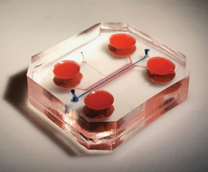 natBME's tweet photo. Hyperphysiological compression of articular cartilage induces an osteoarthritic phenotype in a cartilage-on-a-chip model
https://t.co/W4aUmb0bDE https://t.co/48KHokjwMD
