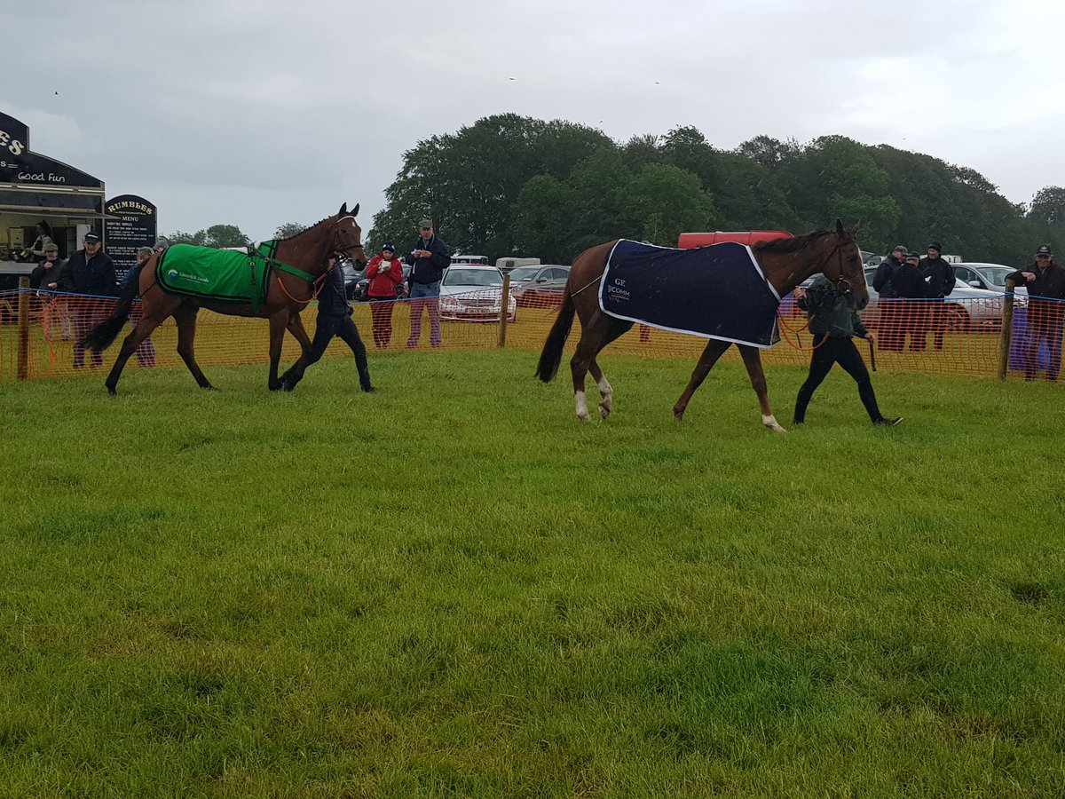 irishp2p's tweet photo. The champions! 🍾

Kruzhlinin and Longhouse Music are both paraded for the Ballingarry crowd after both ending the season tied on the 13 winner mark https://t.co/NM6tj6B1PS